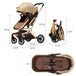 Baby Stroller Portable Folding, Two-Way, High Landscape BIBOO Store