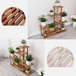 5 Tier Wooden Plant Stand Garden Flowerpot Shelf RUBILSTON