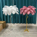 8 Colour Options Feather Floor Lamp RUBILSTON