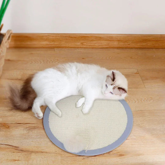 Stylish Cat Scratching Post, Portable Cat Scratcher ZHENSHU FASHION ER Store